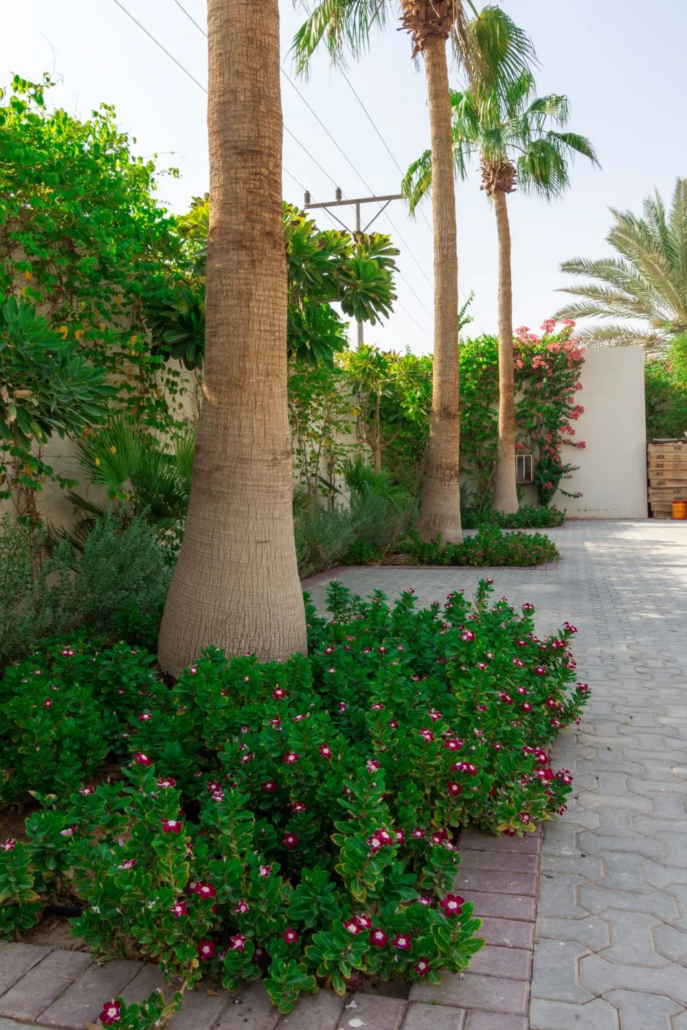 ديوانية الرمال